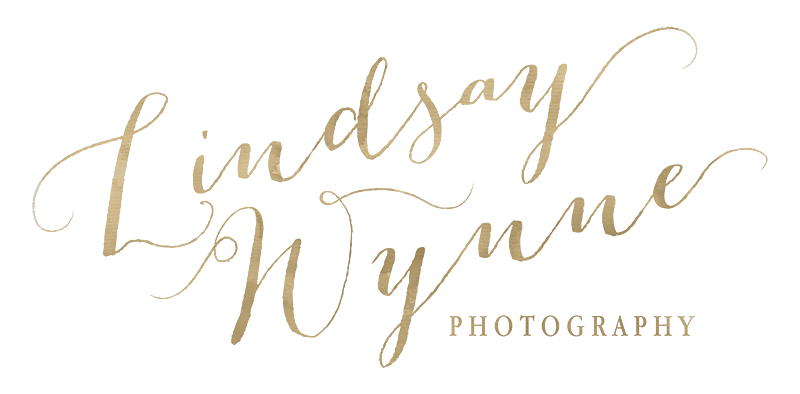 Lindsay Wynne Photography Charlotte NC Modern Portraiture logo